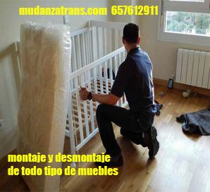 Mudanzatrans 5
